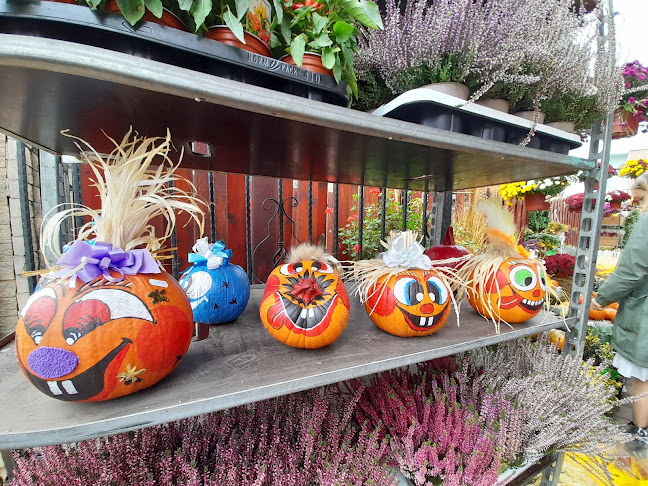 Comentarii opinii despre Piața Agroalimentară Hermes