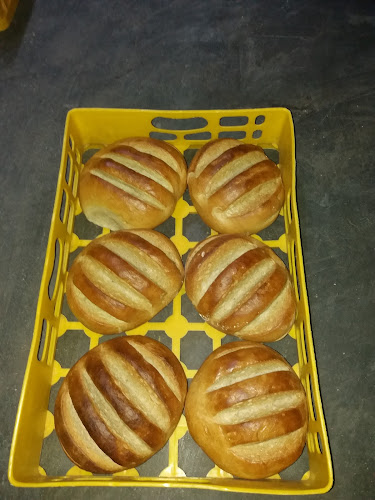 Panificatie Patiserie Pitesti Arges- Zaris AUTOCOM