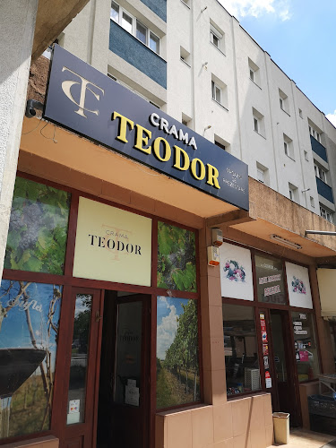 Bulevardul Octavian Goga 1, Satu Mare 440229