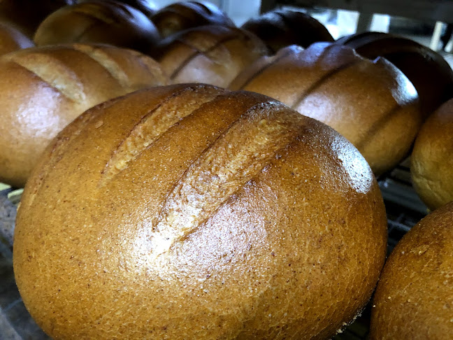 Opinii despre LARISCH EXIM S.R.L. în Cămin - Gastronomie și ospitalitate