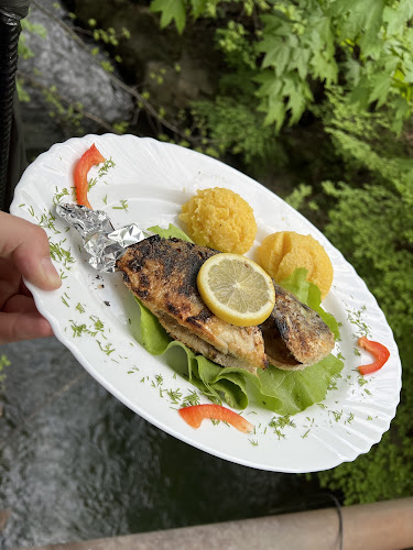 Terasa Baitz - Gastronomie și ospitalitate