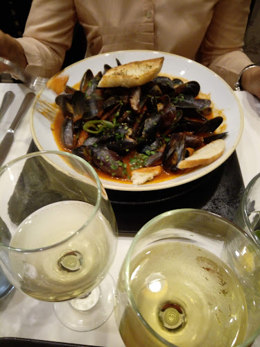 Comentarii opinii despre Marco Polo