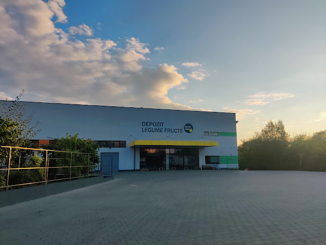 Comentarii opinii despre Exact com srl