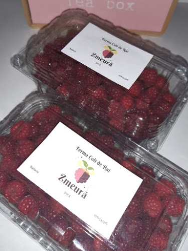 Livada Din Vale - Gastronomie și ospitalitate