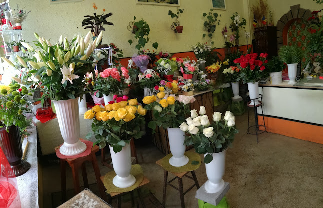 Comentarii opinii despre FLORĂRIA DECO