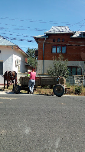 Agroland Tatarastii de Jos - Tătărăștii de Jos