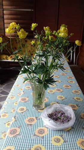 Principala Nr.48, Băile Homorod 535801