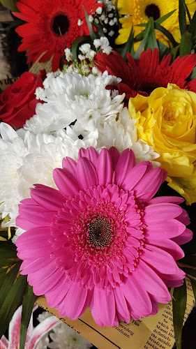 Strada Almaș, București