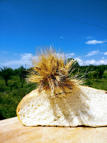 Strada Tudor Vladimirescu 12, Horezu, România