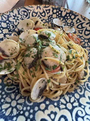 Comentarii opinii despre Rivo