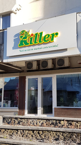 Strada Bucium Nr. 36, Iași 700282