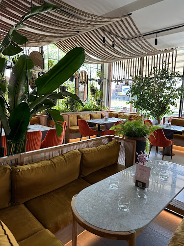 Rivo - Gastronomie și ospitalitate