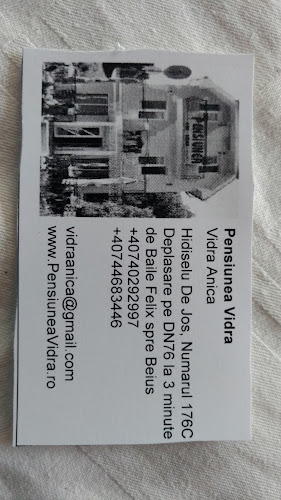 Opinii despre Vidra în Hidişelu de Sus - Gastronomie și ospitalitate