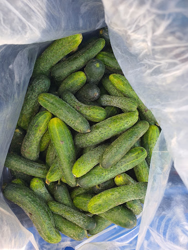 Piața Agroalimentară IRA - Gastronomie și ospitalitate