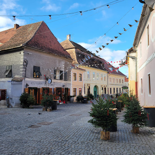 Strada Turnului 3A, Sibiu 550197
