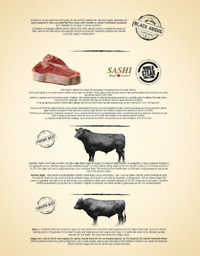 Strada Alexandru Dimitrie Xenopol 1, Sibiu 550159