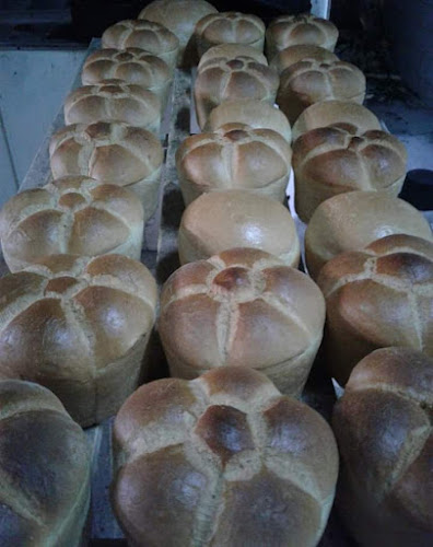 Nr.56, Batăr 417045