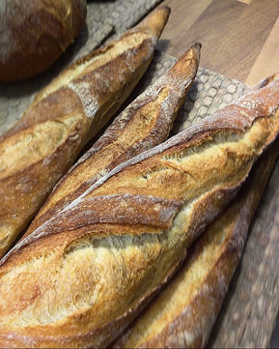 Str. Suciu Mureșanu 8, Buzău 120014