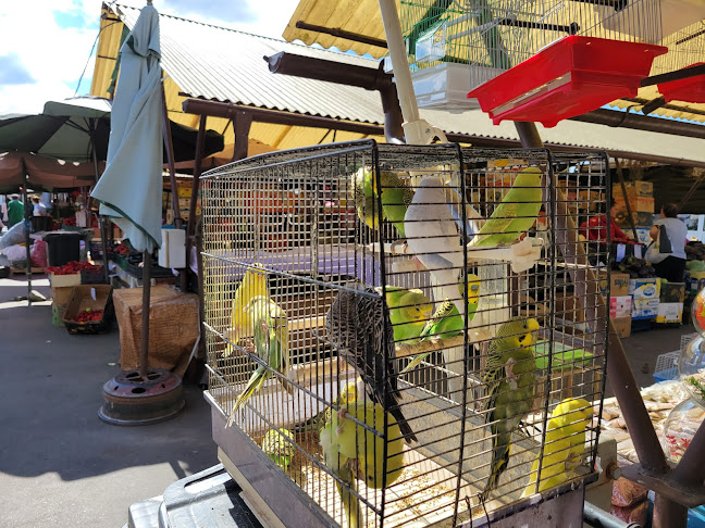 Piaţa Cibin - Sibiu