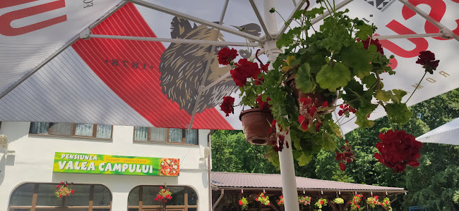 Popas Valea Campului