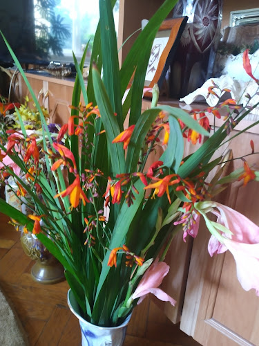 Piața Alimentară "Dacia" - Gastronomie și ospitalitate