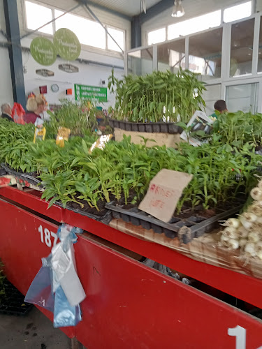 Comentarii opinii despre Piața Agroalimentară Reșița Sud