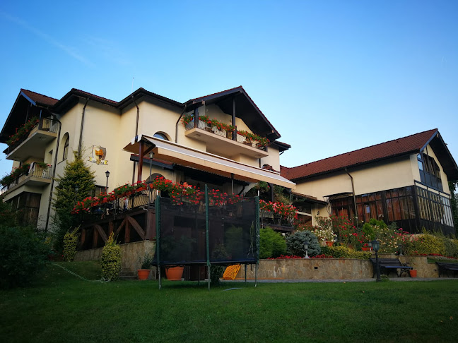 Opinii despre Restaurant Casa Domneasca în Curtea de Argeș - Gastronomie și ospitalitate