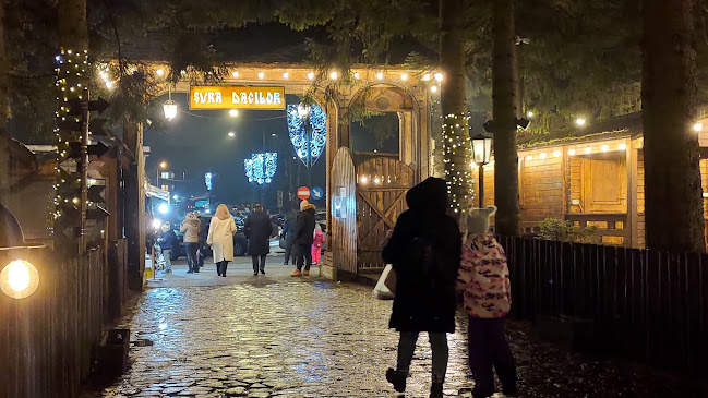 Strada Valea Lungă, Brașov 500001