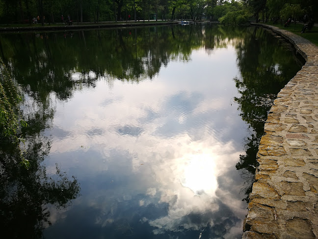 New Generation - Buzău