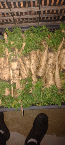 Comentarii opinii despre Piața angro de legume și fructe