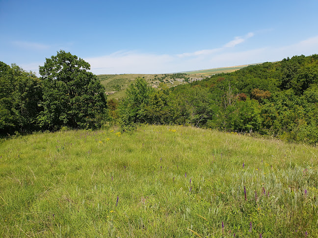 Comentarii opinii despre McDonald's