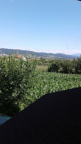 Comentarii opinii despre BioFruits