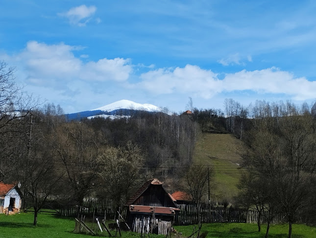 Comentarii opinii despre Transilvania Events