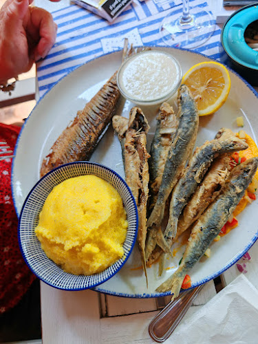 Blue Aqua - Gastronomie și ospitalitate