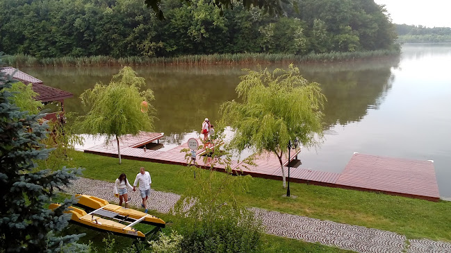 Comentarii opinii despre Hanul Vlasiei Snagov