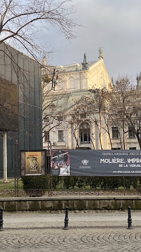 Opinii despre Cârciuma Veche în Iași - Gastronomie și ospitalitate