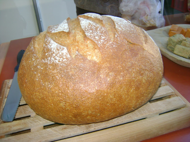 Varga Quattro SRL - Gastronomie și ospitalitate