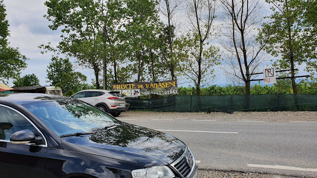 Fructe Romanesti - Gastronomie și ospitalitate