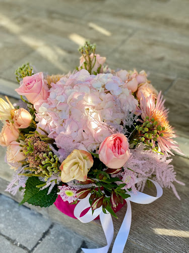 Strada Mihai Viteazul 62, Râmnicu Vâlcea 240602