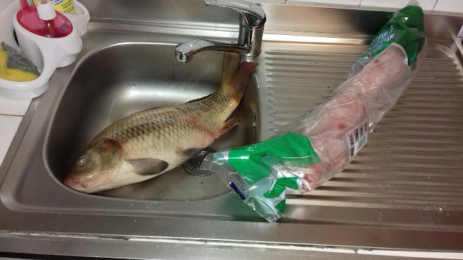 Comentarii opinii despre Restaurant Ambasador