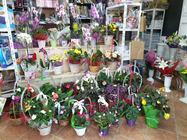 Unnamed Road, Vărbilău 106400