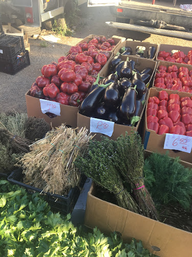 Comentarii opinii despre PIAŢA DE GROSS