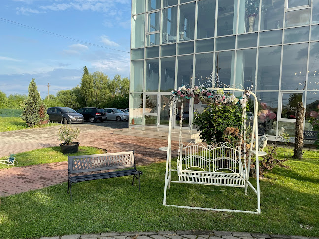 Restaurant Amedeo - Gastronomie și ospitalitate