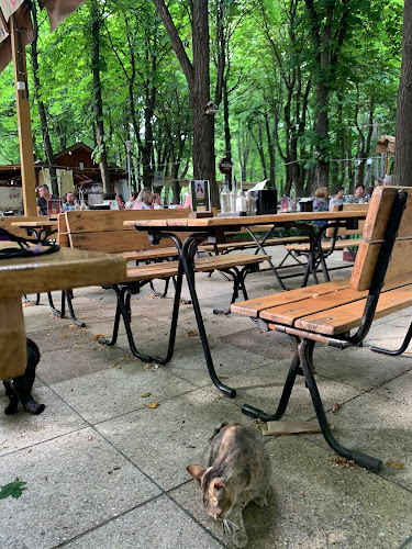 Casa Vânătorului - Iași