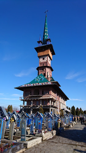 Strada Rândunicii 4, Aleșd 415100