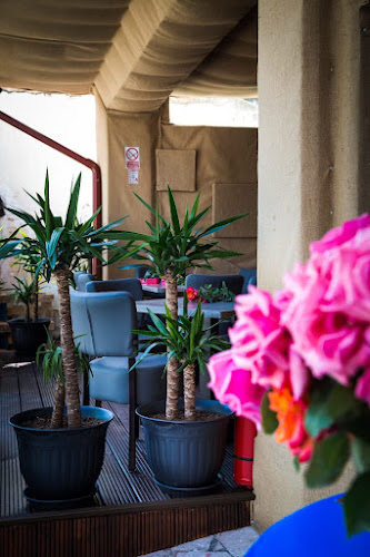 Comentarii opinii despre Pizza Radu