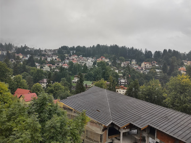 Comentarii opinii despre Restaurant Alex