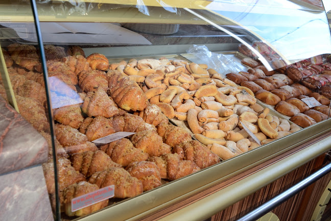 SAL-PAN S.R.L. - Salonta