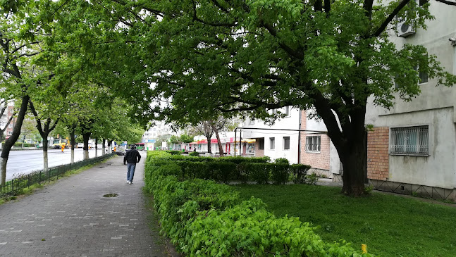 Comentarii opinii despre Sunny