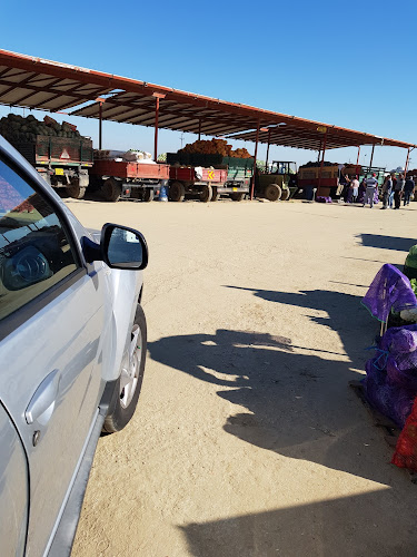 Fruct Expres SRL - Lungulețu